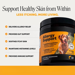 Complément alimentaire probiotique pour chiens, marque privée OEM, sous forme de friandises à mâcher, pour la santé intestinale, la peau, le pelage, les allergies et le soutien immunitaire. - Product Image 4