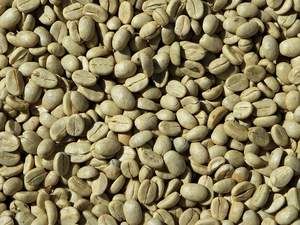 Natural Process, Specialty Green <b>Coffee</b> <b>Bean</b> Made in Vietnam Top Quality with Best Price Top Exporter From Son La, Viet Nam - Product Image 5