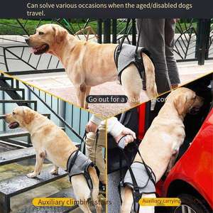 Harnais pour animaux de compagnie avec logo personnalisé, en nylon durable avec boucle robuste et bande réfléchissante pour les promenades quotidiennes - Product Image 5