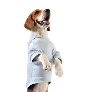 Sudadera con Capucha para Perro, Personalizada al por Mayor, Sólida, con Bolsillos, Cómoda, 100% Algodón, Felpa, Lavable, para Todas las Estaciones, Ropa para Mascotas - Product Image 4