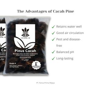 Chips de Corteza de Pino Esterilizados de Alta Calidad 1L |   Sustrato de Cultivo Orgánico Simple para Orquídeas Aglaonema - Uso en Interiores/Exteriores, Jardín Doméstico - Product Image 2