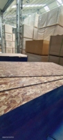 Panneau OSB (Oriented Strand Board) Premium 4x8 pieds (1250x2560mm) 9mm 12mm 15mm 18mm pour Construction, Plancher et Panneau Mural SIP