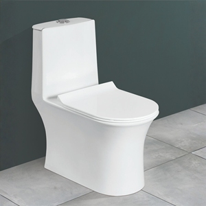 One Piece Elongated <b>Floor</b> Mounted Toilet with Dual-Flush P-trap/S-Trap Modern Design Vitreous Material Indian Origin Bathroom - Product Image 3