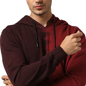 เสื้อฮู้ดดี้ฮิปฮอปผู้ชายผ้าฝ้ายออร์แกนิคหนานุ่ม 360 กรัม ป้องกันการเป็นขุย ผลิตตามสั่งขายส่งคุณภาพดีที่สุดจากโรงงาน (OEM) - Product Image 5