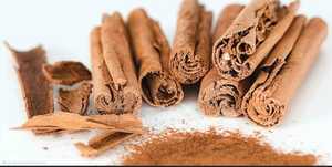 Fresh Raw <b>Cinnamon</b> Sticks Premium Quality Natural Whole Indian Spice for Cooking Food Processing and Wholesale Ingredient Supply - Product Image 2