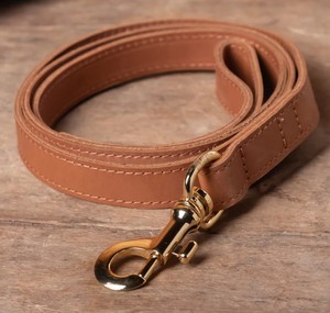 Comfort Grip <b>Dog</b> <b>Leash</b> for Happy Walks - Product Image 1