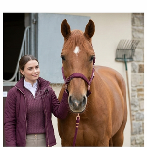 En gros, Nouvelle Arrivée : Ménagères pour chevaux de qualité supérieure, personnalisables, rembourrées, confortables, douces et réglables, avec rembourrage pour le nez et la tête. - Product Image 2