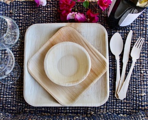 Premium <b>Disposable</b> Square Areca <b>Plate</b> 7 Inches With Birchwood Cutlery For Outdoor Food Service For Healthy Food Use 2026 - Product Image 4