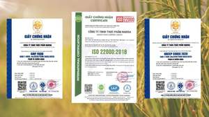 Fideos de Arroz Secos de Vietnam en Paquete, Harina de Arroz Natural, Textura Suave, Suministro a Granel, OEM, Vermicelli de Arroz Fino de Alta Calidad - Product Image 6