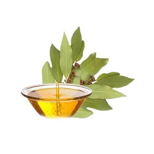 Pure Bay Leaf Oil Premium Quality Top Grade Wholesale Price from Leading Indian Exporter Manufacturer and Bulk Supplier