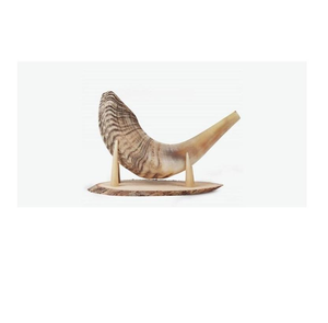 Directo de la India, Shofar de Cuerno de Búfalo de Buena Calidad, Ecológico, Religioso, Pulido, de Color Natural, Estilo Animal - Product Image 1