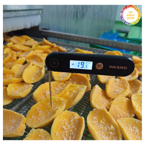 Sweet Frozen Mango Slices – Perfect for Ice Cream & Smoothies - Product Image 3