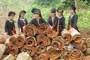 Corteza de Canela Vietnamita Premium - Complemento Saludable para la Dieta Diaria - Natural y Orgánico - 250g Origen Vietnam Canela Cassia Yen Bai - Product Image 6