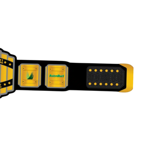 Ceinture de championnat de football Coastal Fantasy, ceinture de titre personnalisable, le champion est là, récompense sportive personnalisée - Product Image 3