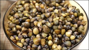 เนื้อหอยเชลล์ต้มสุกคุณภาพสูงพร้อมรับประทานสำหรับผัด ซุป ข้าวต้ม ข้าวสวย บรรจุถาดสุญญากาศ 1 กก. แช่แข็ง - Product Image 3