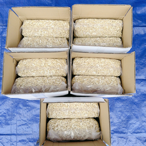 Cheap Bulk <b>Nuts</b> <b>Kernels</b> Cashew <b>Nuts</b> Broken WS LP SP BB Cashew <b>Kernel</b> SANTIGO - Product Image 1