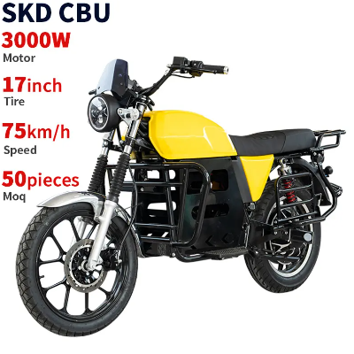 Semi Automatic Motorbike 110cc Air Cooling Pit Bike