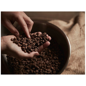 Granos de café verde natural de alta calidad para la venta al por mayor. Granos de café Arábica tostados. Compre granos de café tostados a precio económico. - Product Image 1