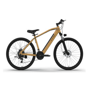 Vélo électrique urbain M037 TRIP-E Dynem en acier au carbone avec moteur arrière sans balais et batterie longue autonomie - Product Image 1