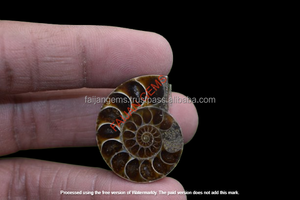 พลอยแอมโมไนต์แท้ 100% จาก FAIJAN GEMS ขายดีที่สุด รูปทรงคาโบชอง รับรองโดยผู้ตรวจสอบอิสระ ปรับแต่งขนาดและรูปทรงได้ เหมาะสำหรับทำเครื่องประดับ - Product Image 3