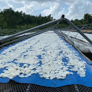 แครกเกอร์2024กุ้งคุณภาพสูงราคาดีที่สุด-กุ้งขนมขบเคี้ยวจากเวียดนาม - Product Image 1