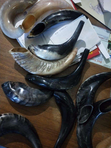 Shofar único hecho a mano, hermoso shofar de cuerno de carnero para celebraciones, de la India. Venta al por mayor de shofar de cuerno de carnero Kudu a granel. - Product Image 2