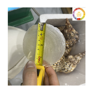 Conchas de Capiz para Manualidades |   Piezas de Concha Pulida Blanca Natural |   Joyería y Decoración DIY |   Precio al por Mayor - Product Image 1