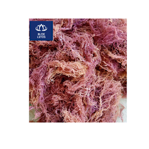 EN TENDENCIA AHORA: Musgo Marino Seco Ecológico y Seguro, Alga Marina Pura, Ideal para Hacer Gel y Cocinar Sopas, Vendedor Directo - Product Image 1