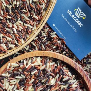 Arroz Saludable de Alta Calidad, Mezcla de Arroz Rojo, Morado y Marrón, Cultivado Naturalmente en Vietnam en Zonas Especiales, para Venta al por Mayor - Product Image 3