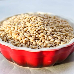 Cebada Perlada de Calidad de Exportación, Grano de Cebada Descascarillado de Grado Alimenticio, Sin OMG, Alto en Fibra, Grano Saludable, Suministro a Granel a Nivel Mundial - Product Image 2
