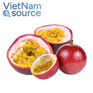 Fruit de la passion au meilleur prix-Fruit de la passion tropical doux et naturel dans les jardins des Highlands de l'usine du Viet Nam-pour des fruits sains - Product Image 3