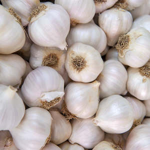 100% Natural Quality <b>Fresh</b> White <b>Garlic</b> <b>Fresh</b> Vegetable Bulk <b>Garlics</b> For Sale Top Quality and Large Stock Fast Shipping Austria - Product Image 2