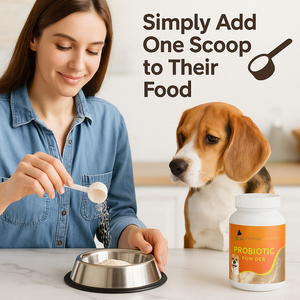 Suplemento alimenticio digestivo para mascotas en polvo probiótico para perros y gatos aprobado por la FDA OEM Gut Health Immune Sensium - Product Image 4