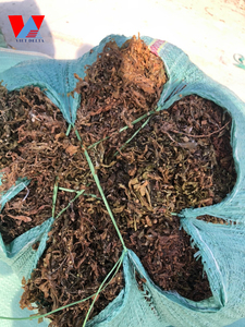 MS Lily วัตถุดิบสำหรับปุ๋ยสาหร่าย Sargassum แห้งสำหรับอาหารสัตว์ - Product Image 3