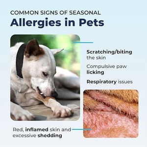 Soutien Allergique pour la Peau et le Pelage : Friandises Tendres pour Chiens et Chats avec Champignons, Curcuma et Zinc – Absorption Rapide, Sûr, OEM Disponible - Product Image 4