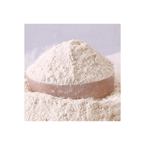 Poudre d'ail de qualité supérieure en vrac, pureté 100 %, ingrédient épicé séché pour sauces de boulangerie et transformation alimentaire - Product Image 3