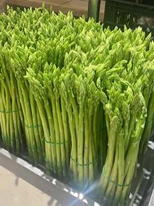 Asperges frais de qualité supérieure – Prix de gros compétitif - Product Image 5