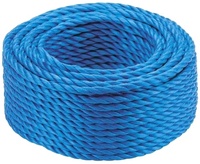Cordes torsadées en nylon à 3 brins les plus vendues, marque Dan Line, ficelle monofilament, fabricant direct d'usine, PP HDPE Polypropylène