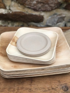 Assiettes jetables en feuilles de palmier Areca, carrées de 6 pouces, pour collations et desserts secs, pour la présentation de collations dans les cafés, les boulangeries et les services de traiteur. - Product Image 1