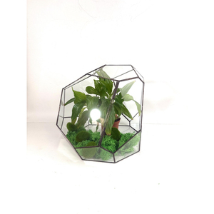 Terrario de Vidrio con Marco de Latón para Plantas Aéreas, Terrario Geométrico Piramidal de Vidrio Teñido al por Mayor, Decoración para el Hogar - Product Image 5