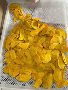 Mango Seco Naturalmente Dulce de Fabricación Vietnamita, Etiqueta Personalizada, Empaque Minorista de 100g, 250g, 500g, 1000g - Product Image 3