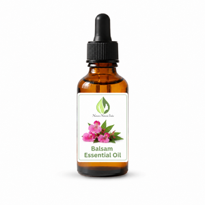 Huile Essentielle de Balsam de France Naturelle – Huile Pure Épaisse Brun Foncé Vente en Gros Export Inde - Product Image 5