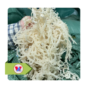 Algues Marines Dorées Golden Yellow Cottonii de Haute Qualité, Séchées au Soleil, Sans Arêtes, Stabilisant pour Aliments et Boissons - Product Image 2