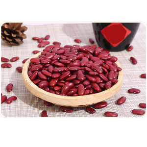 Haricots rouges séchés naturels en vrac, exportateur, fournisseur de haricots de qualité supérieure pour les distributeurs internationaux - Product Image 3