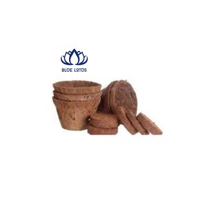 Pot en fibre de coco écologique Blue Lotus, très demandé |   Pot de fleurs rond biodégradable pour plantes d'intérieur, style campagnard, ferme - Product Image 1
