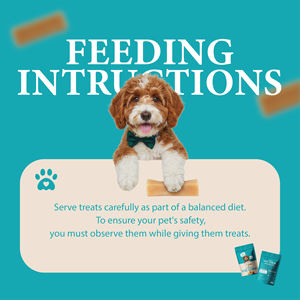 Friandises à mâcher molles au lait de yak de l'Himalaya, riches en protéines et sans gluten, pour chiens de toutes races, pour la santé dentaire et une absorption rapide, du fabricant OEM - Product Image 3