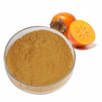 Topverkochte 100% pure & natuurlijke persimmon fruitextract 10:1 poeder, hoge kwaliteit Diospyros kaki poeder, groothandel uit India