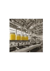 Ghee végétal de qualité supérieure Kim Chuan Vanaspati, 99,9 % de matières grasses, sans transgras, halal, certifié ISO, HACCP et GMP - Product Image 2