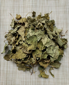 Daun Mint Ikan 100% Alami dengan Tekstur Halus dan Kualitas Konsisten untuk Pengolahan Bahan Botani