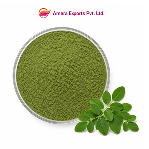 Poudre d'extrait de feuille de Moringa Oleifera en vrac OEM 10:1, extrait botanique naturel à base de plantes, fabricant et fournisseur - Product Image 1